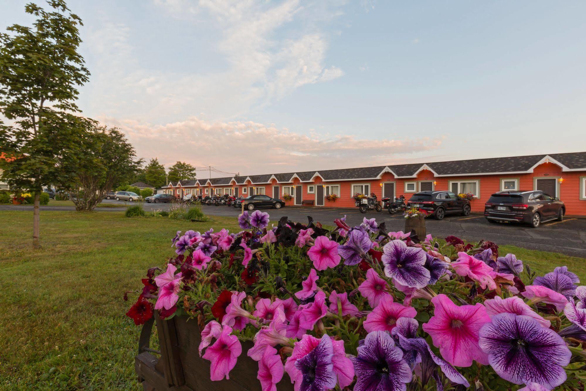 Motel Au Fleuve D'Argent Rivière-du-Loup Buitenkant foto